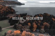 601838，601838雪球