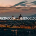 股票600004，股票600105