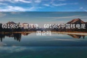 601985中国核电，601985中国核电是国企吗