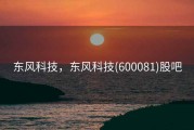 东风科技，东风科技(600081)股吧