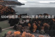 600458股票，600458股票的历史最高价