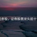 证券股，证券股票龙头前十名