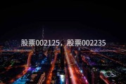 股票002125，股票002235