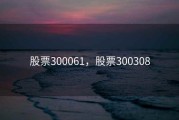 股票300061，股票300308