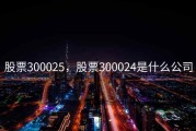 股票300025，股票300024是什么公司