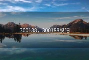 300188，300188股吧