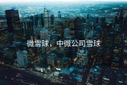 微雪球，中微公司雪球