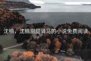 沈楠，沈楠甜甜骑马的小说免费阅读