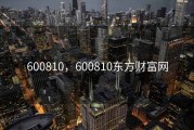 600810，600810东方财富网
