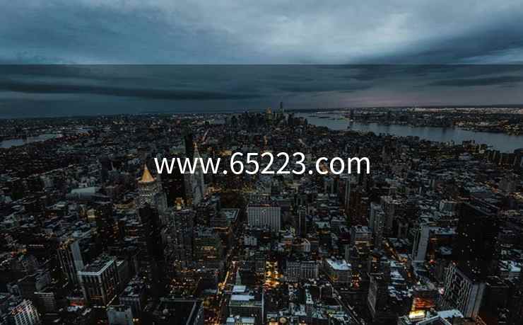 www.65223.com