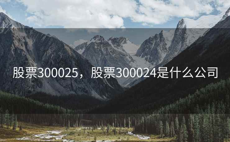 股票300025，股票300024是什么公司