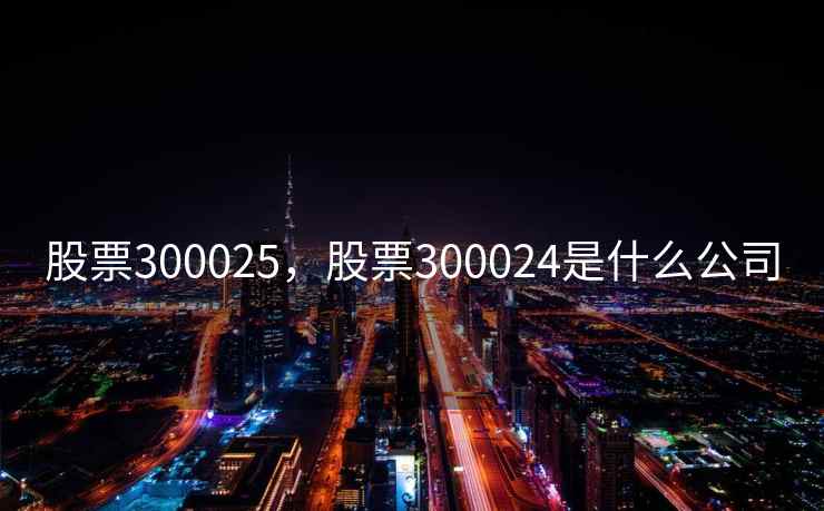 股票300025，股票300024是什么公司