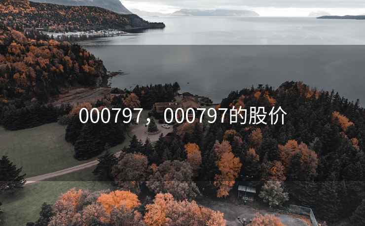 000797，000797的股价