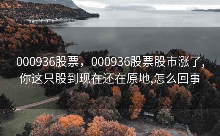 000936股票，000936股票股市涨了,你这只股到现在还在原地,怎么回事