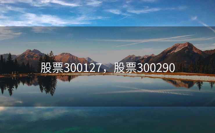 股票300127，股票300290