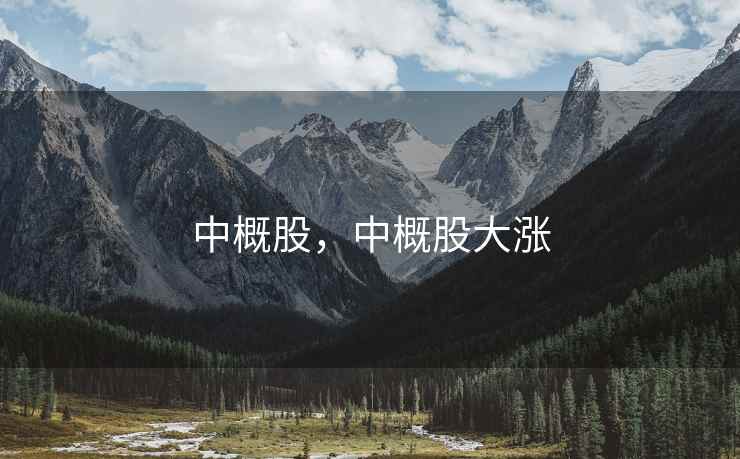中概股，中概股大涨