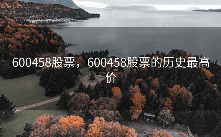 600458股票，600458股票的历史最高价