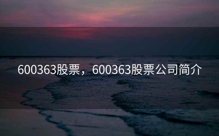 600363股票，600363股票公司简介