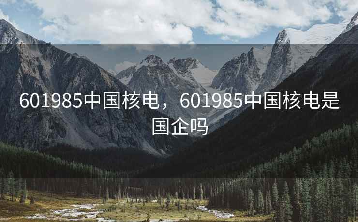 601985中国核电，601985中国核电是国企吗